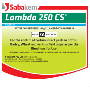 Lambda 250 CS