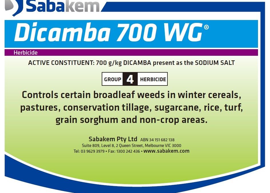 DICAMBA 700 WG