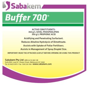 BUFFER 700